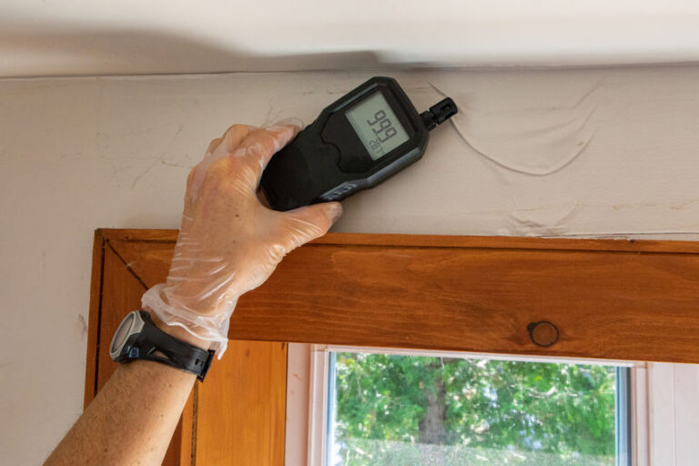 Mold specialist doing indoor mold testing