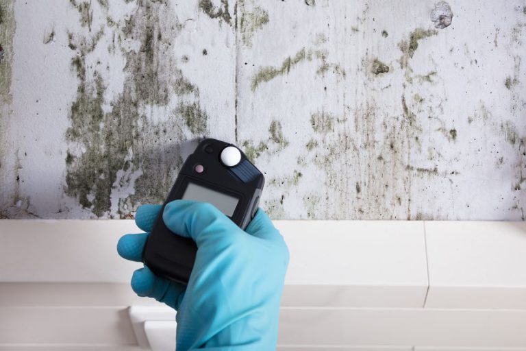 Close-up Of Person Hand Wearing Gloves Testing for Mold