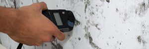 close-up of a person's hand measuring wetness of moldy wall