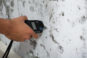 close-up of a person's hand measuring wetness of moldy wall