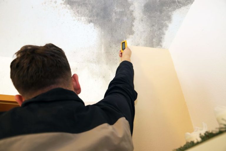 worker testing for mold and moisture inside a wall