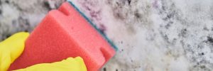 lose-up of a shocked woman looking at mold on wall