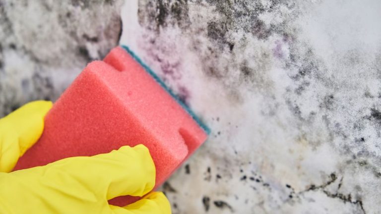 lose-up of a shocked woman looking at mold on wall