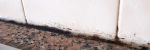 lack Mold on Silicone Sealant Between Tile and Countertop