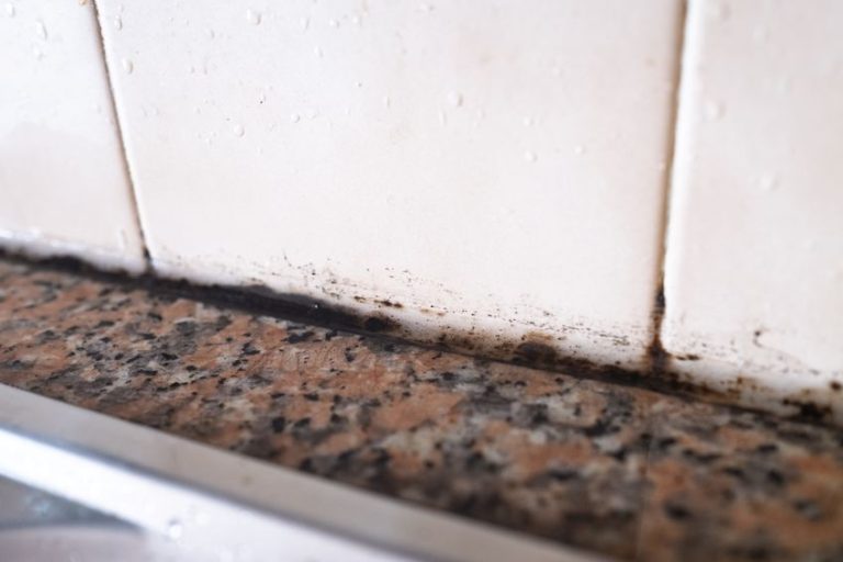lack Mold on Silicone Sealant Between Tile and Countertop