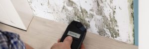 Mold specialist's hand measuring the wetness off a moldy wall