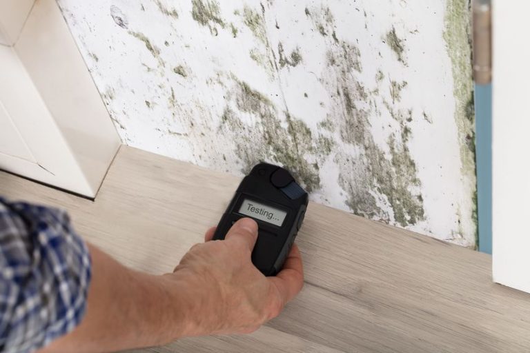 Mold specialist's hand measuring the wetness off a moldy wall